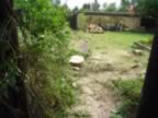 IMG_60.jpg (103kb)